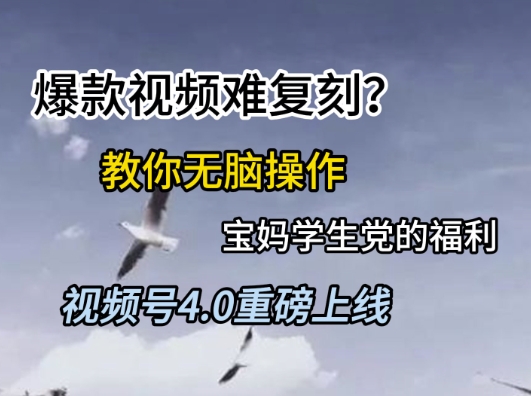 视频号4.0重磅上线，爆款视频难复刻？教你无脑操作宝妈学生党的福利【揭秘】-柚子资源网