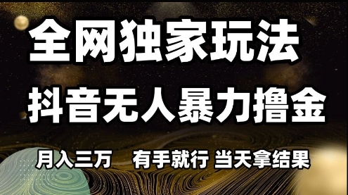 全网独家玩法抖音无人暴力撸金，月入3W，有手就行，当天拿结果【揭秘】-柚子资源网