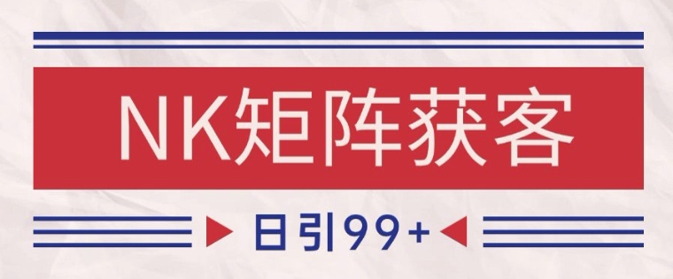 小红书某音NK赛道引流获客自热矩阵日引200+【揭秘】-柚子资源网