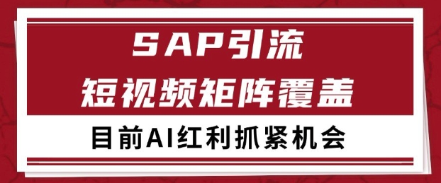 小红书某音sap赛道引流获客自热矩阵日引200+【揭秘】-柚子资源网
