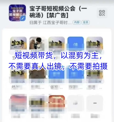 宝子哥头部团队短视频带货，以混剪为主，不需要真人出镜，不需要拍摄【更新】-柚子资源网