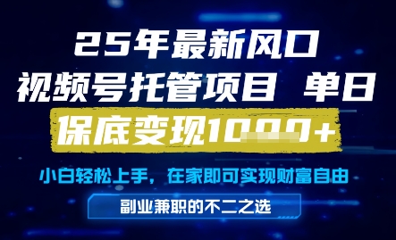 25年最新风口，视频号托管项目，单日保底变现1k+，手把手教学【揭秘】-柚子资源网