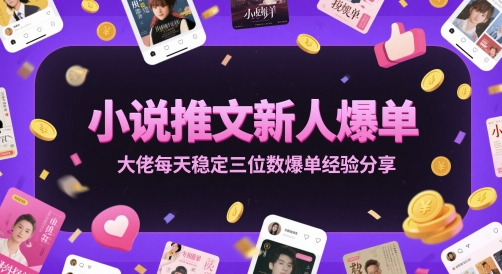 小说推文新人爆单大佬每天稳定三位数爆单经验分享-柚子资源网