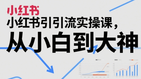 小红书引流实操课，从小白到大神-柚子资源网