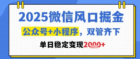 2025微信风口掘金，公众号+小程序双管齐下，单日稳定变现1k+【揭秘】-柚子资源网