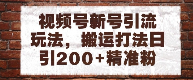 视频号新号引流玩法，搬运打法日引200+精准粉，可矩阵放大【揭秘】-柚子资源网