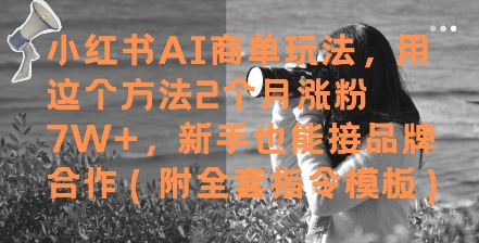 小红书AI商单玩法，用这个方法2个月涨粉7W+，新手也能接品牌合作(附全套指令模板)-柚子资源网