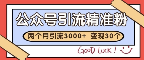 公众号精准粉引流玩法，2个月3000+精准粉，变现30个W【揭秘】-柚子资源网