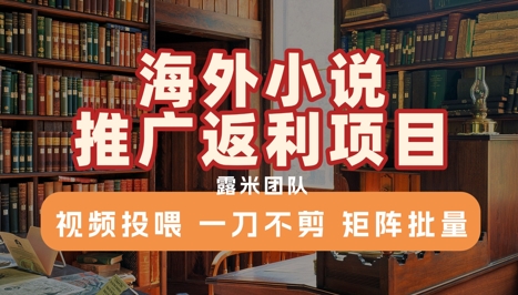 海外小说推广返利项目，视频投喂，一刀不剪，矩阵批量-柚子资源网