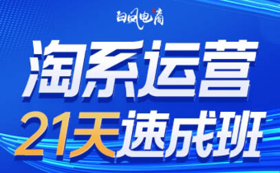 白凤电商·淘系运营21天速成班(更新7月)-柚子资源网