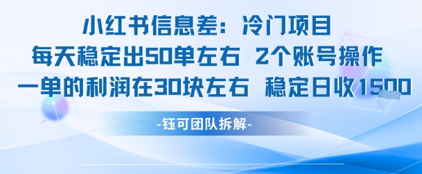 小红书信息差冷门项目一单利润30块每天稳定1.5k左右2个账号操作-柚子资源网