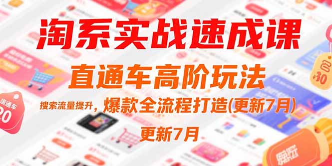 淘系实战速成课，直通车高阶玩法，搜索流量提升，爆款全流程打造(更新7月-柚子资源网