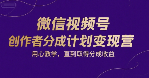 微信视频号创作者分成计划变现营，用心教学，直到取得分成收益-柚子资源网
