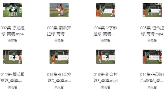 校园足球教学视频教程-柚子资源网