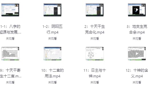 刁吉祥八字初中高级课程-柚子资源网