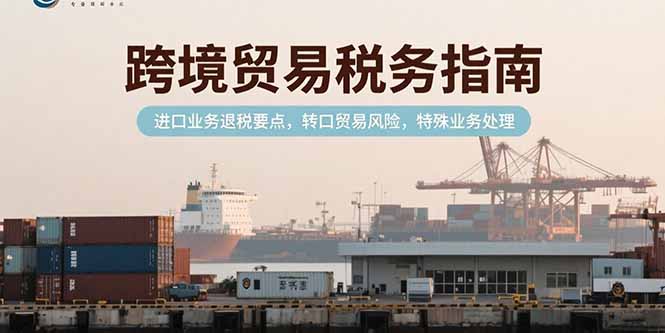 跨境贸易税务指南，进口业务退税要点，转口贸易风险，特殊业务处理-柚子资源网