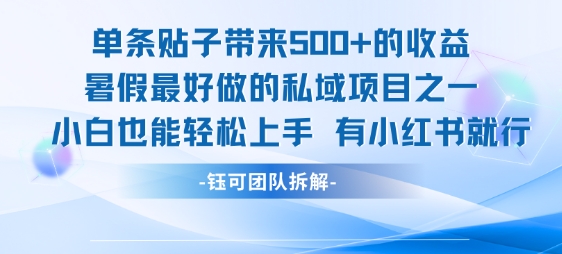 单条贴子带来5张的收益，暑假最好做的私域项目之一，小白也能轻松上手，有小红书就行-柚子资源网