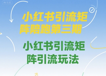小红书引流矩阵陪跑第三期，小红书引流矩阵引流玩法-柚子资源网