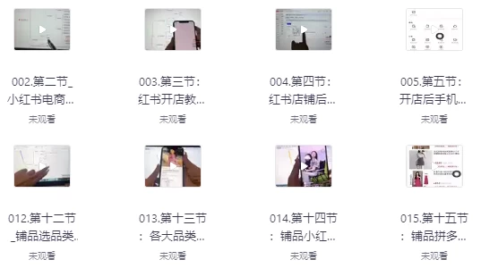 小红书高级电商课程，新手小白实操教学-柚子资源网