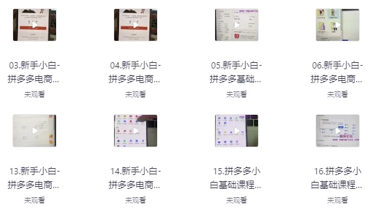 拼多多电商课程，新手纯小白必看，零基础教学快速入门-柚子资源网