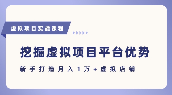 抓住虚拟项目各平台优势，新手轻松月入1W+(给出具体建议)-柚子资源网