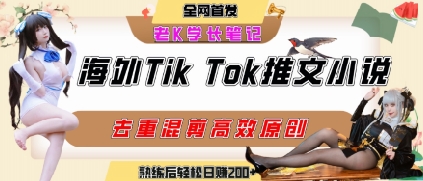 海外tiktok小说推文暴力项目，高停留率，高转化率，上手后一天搞顿饭钱不是问题-柚子资源网