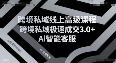 跨境私域线上高级课程，跨境私域极速成交3.0+Ai智能客服-柚子资源网