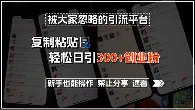 被大家忽略的引流平台，复制粘贴轻松日引300+创业粉，新手也能操作，禁…-柚子资源网