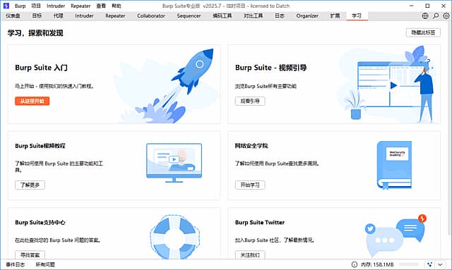 BurpSuite(Web应用安全测试工具)Professional2025.7汉化绿色版-柚子资源网