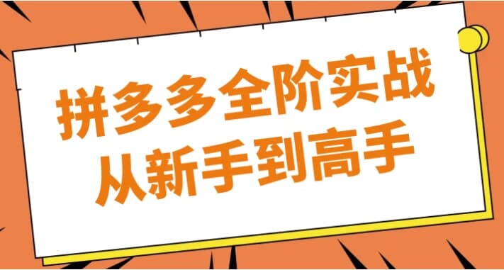 拼多多全阶实战从新手到高手-柚子资源网