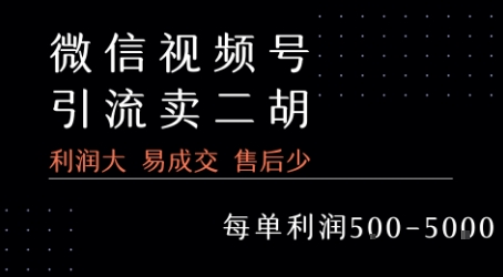 视频号卖二胡教程，利润大易成交售后少，一单利润5张+-柚子资源网