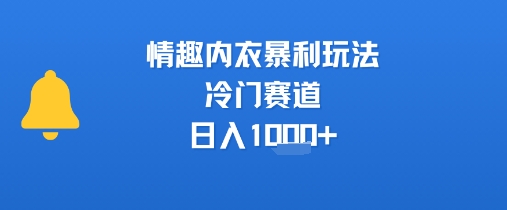 情趣内衣暴利玩法，冷门赛道，日入1k+-柚子资源网