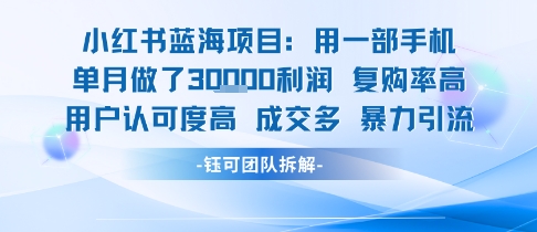 小红书蓝海项目，一部手机单月做了3W利润，小白也能月入过1W用户认可度高成交多-柚子资源网