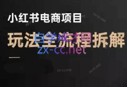 菲菲老师·小红书电商玩法(更新7月)-柚子资源网