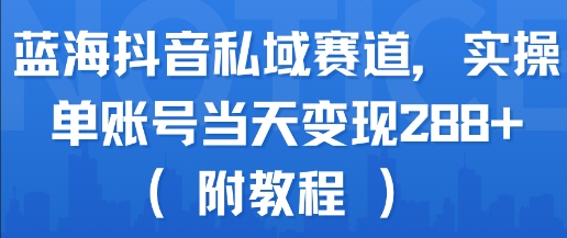 蓝海抖音私域赛道，实操单账号当天变现288+(附教程)-柚子资源网