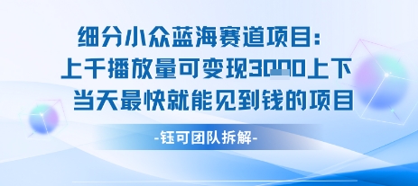 小众蓝海赛道项目：当天变现1k+适合新手操作+适合长期玩-柚子资源网