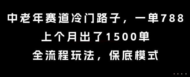 中老年赛道冷门路子，一单788，上个月出了1500单，全流程玩法，保底模式【揭秘】-柚子资源网