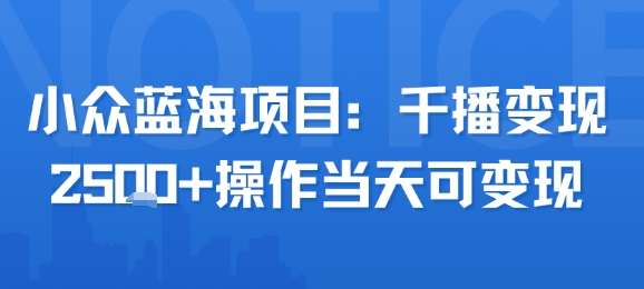 小众蓝海项目，千播变现2.5k+操作当天可变现-柚子资源网