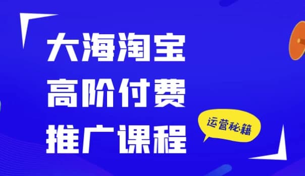 大海淘宝高阶付费推广课程-柚子资源网