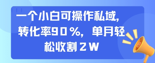 一个小白可操作私域，转化率90%，单月轻松收割2W-柚子资源网