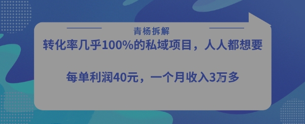 转化率最高的私域项目，每单利润40-50米，月入过1w-柚子资源网