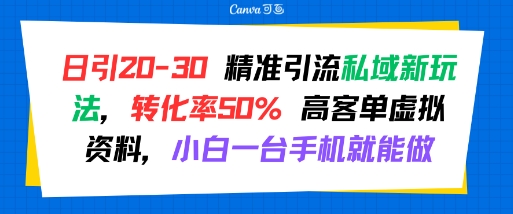 日引20-30精准引流私域新玩法，转化率50%高客单虚拟资料，小白一台手机就能做-柚子资源网
