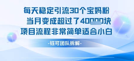 每天稳定引流30个人当月变成超过了4个W项目流程非常简单适合小白-柚子资源网