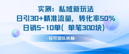 实测私域新玩法日引30加精准流量转化率50%日销5-10单每笔3张-柚子资源网