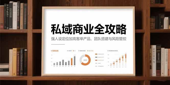 （15294期）私域商业全攻略，强人设定位加高客单产品，团队搭建与风险管控-柚子资源网