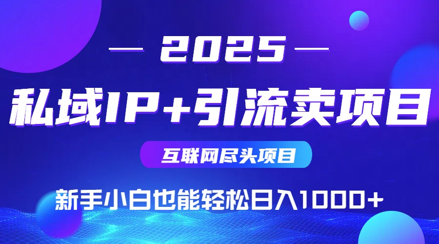 2025网创尽头项目，私域IP+引流，新手小白也能在家日入1000+-柚子资源网