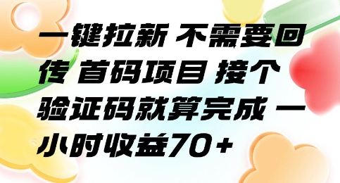 一键拉新不需要回传首码项目接个验证码就算完成一小时收益70+【揭秘】-柚子资源网