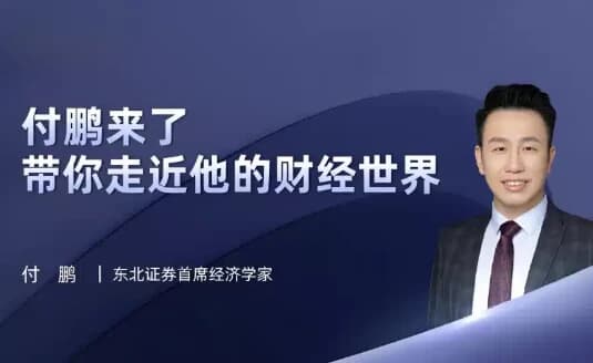 油管《付鹏财经世界》专栏合集-柚子资源网