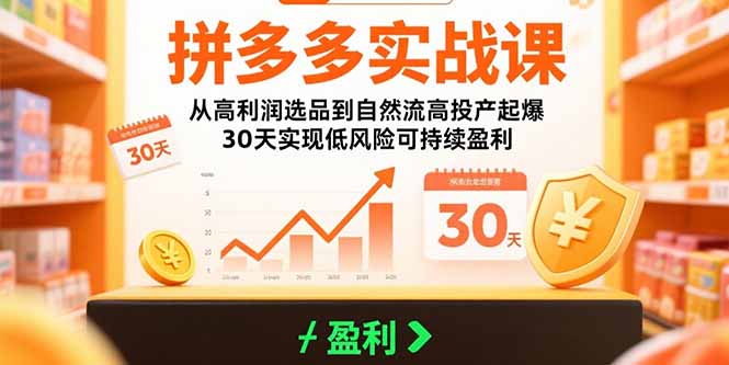 拼多多实战课：从高利润选品到自然流高投产起爆30天实现低风险可持续盈利-柚子资源网