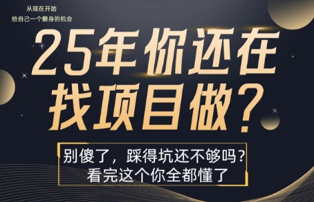 25年，你还在疯狂的找项目吗？别傻了，看完这个你都懂了【揭秘】-柚子资源网